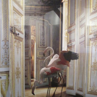 Karen Knorr