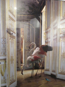 Karen Knorr